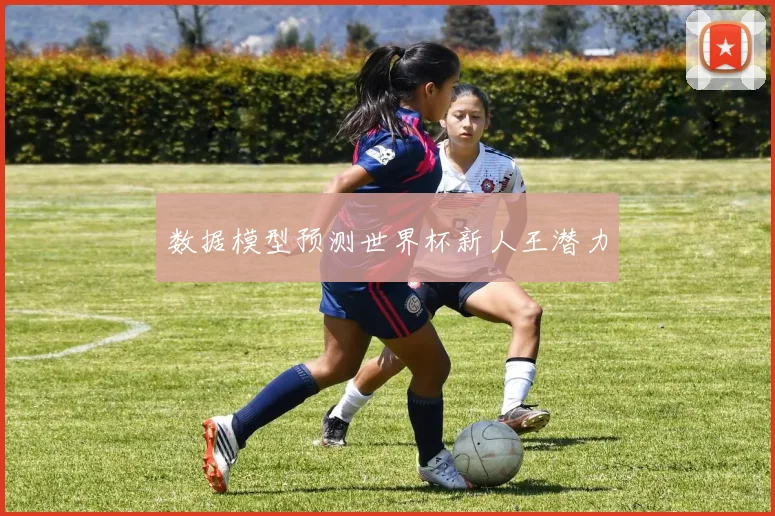 数据模型预测世界杯新人王潜力