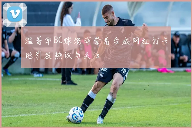 温哥华BC球场海景看台成网红打卡地引发热议与关注