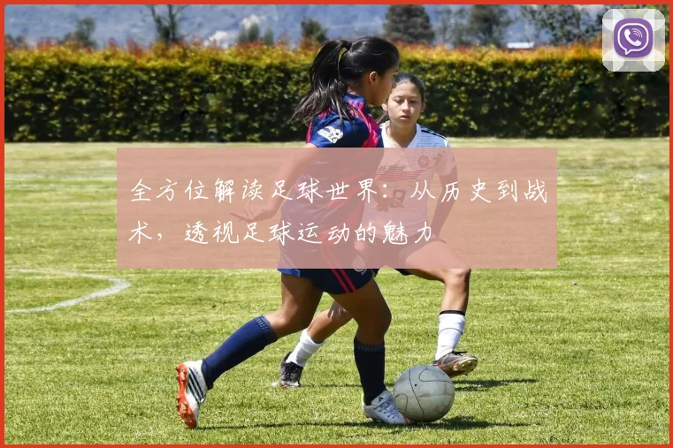 全方位解读足球世界：从历史到战术，透视足球运动的魅力
