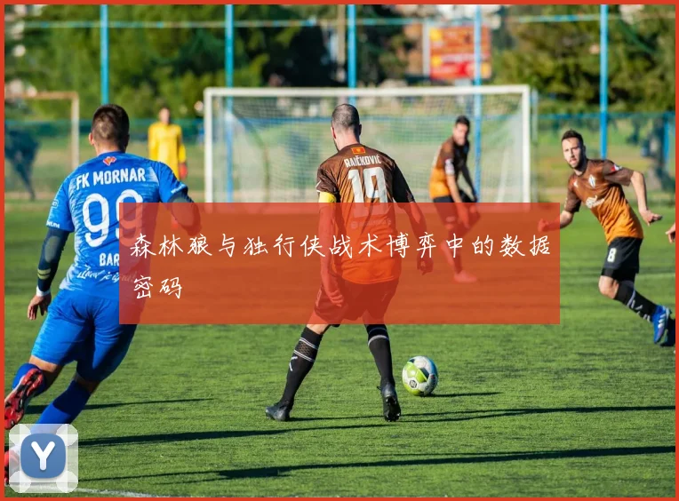 森林狼与独行侠战术博弈中的数据密码